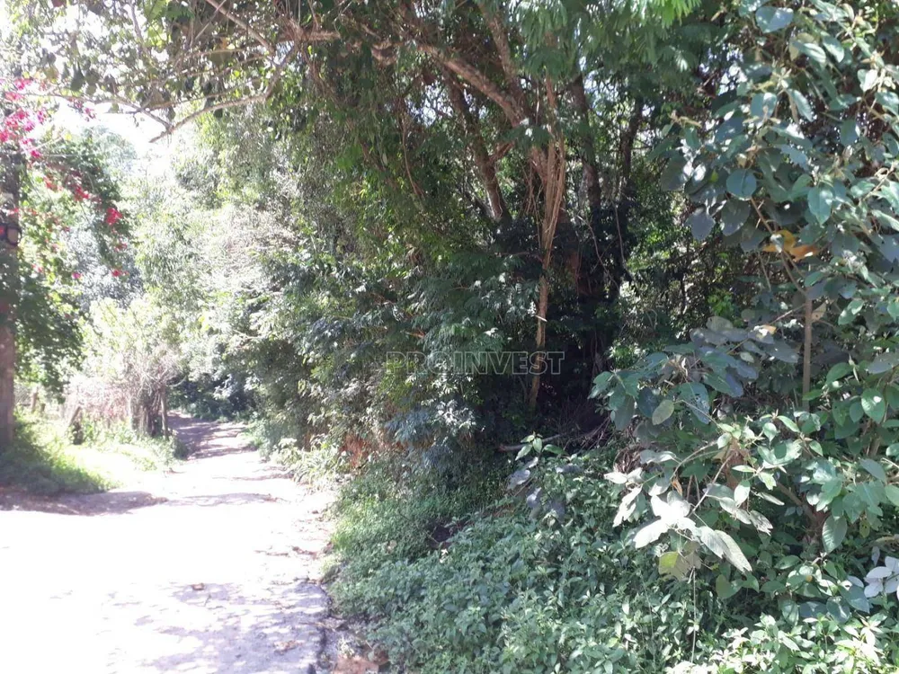 Terreno, 6629 m² - Foto 5