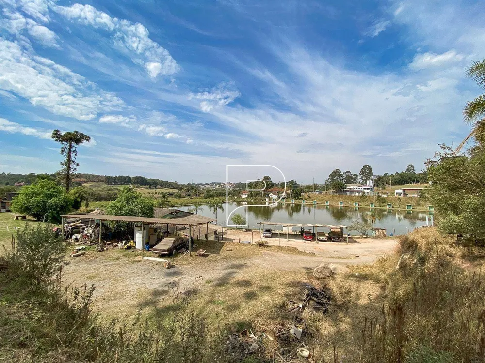 Terreno, 9 hectares - Foto 4