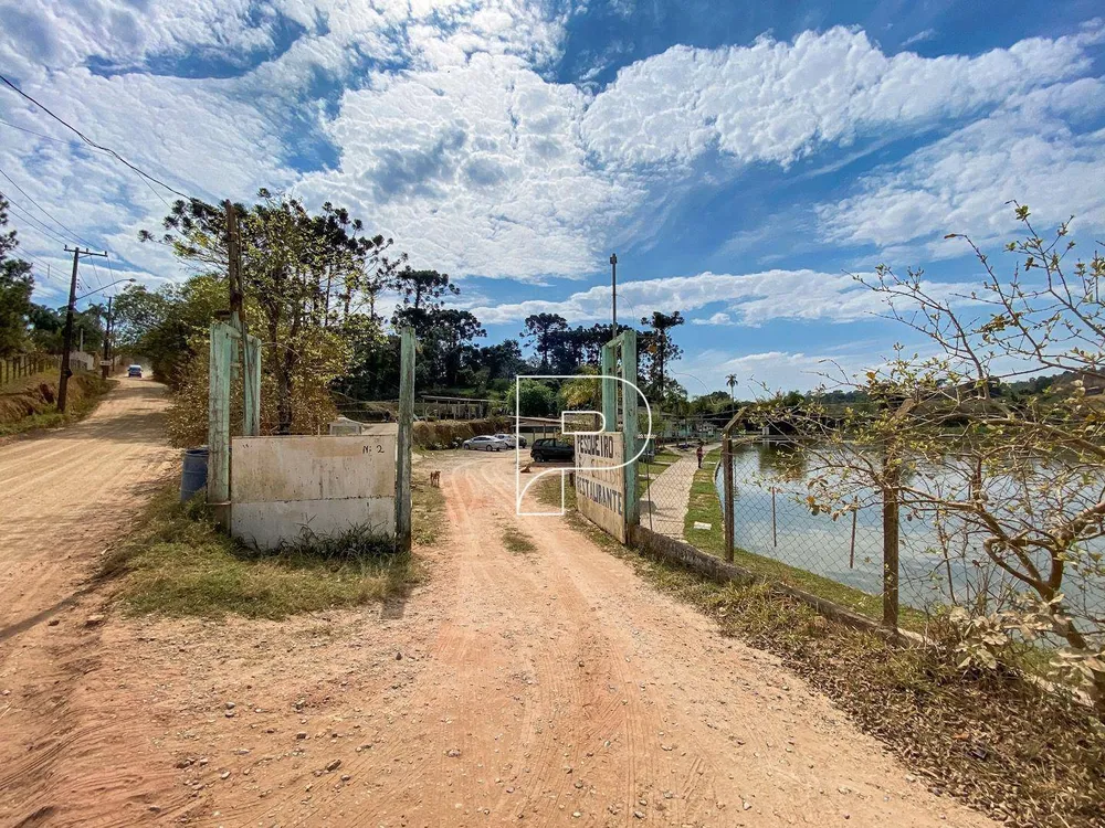 Terreno, 9 hectares - Foto 6