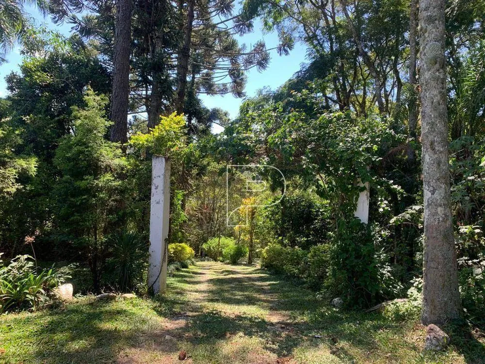 Sítio, 3 quartos, 3 hectares - Foto 9