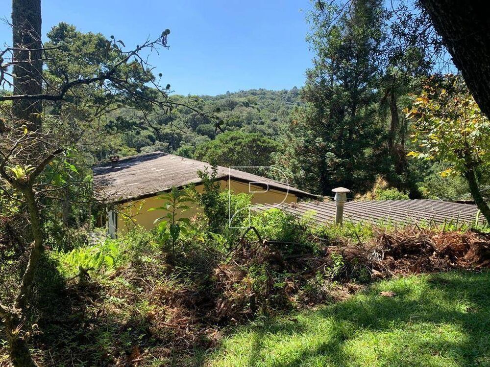 Sítio, 3 quartos, 3 hectares - Foto 3