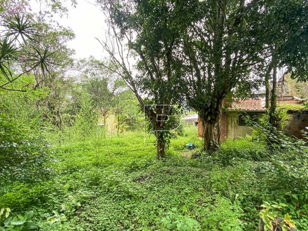 Terreno, 3146 m² - Foto 7