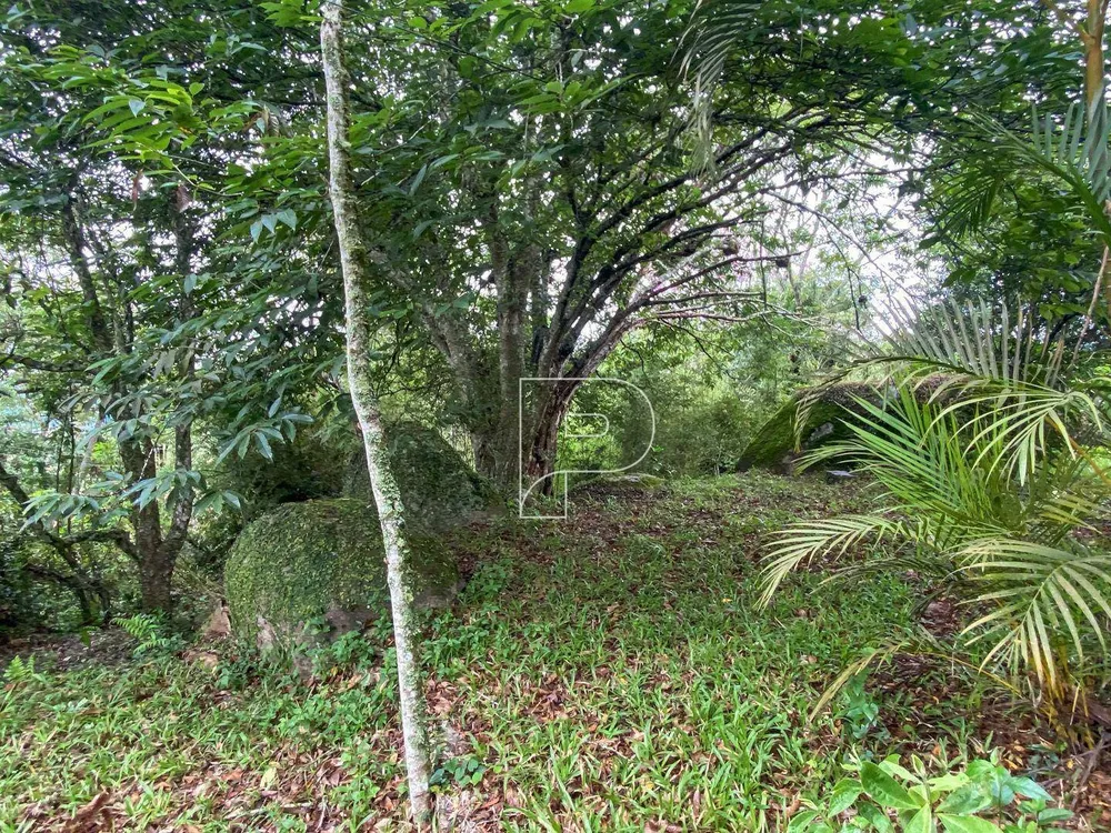 Terreno, 3146 m² - Foto 11
