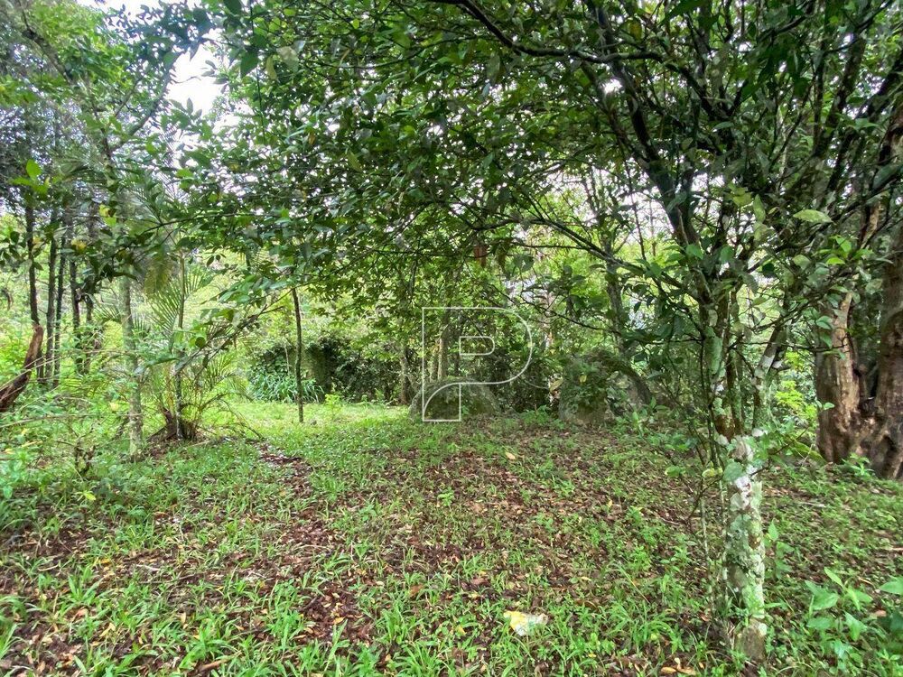 Terreno, 3146 m² - Foto 2