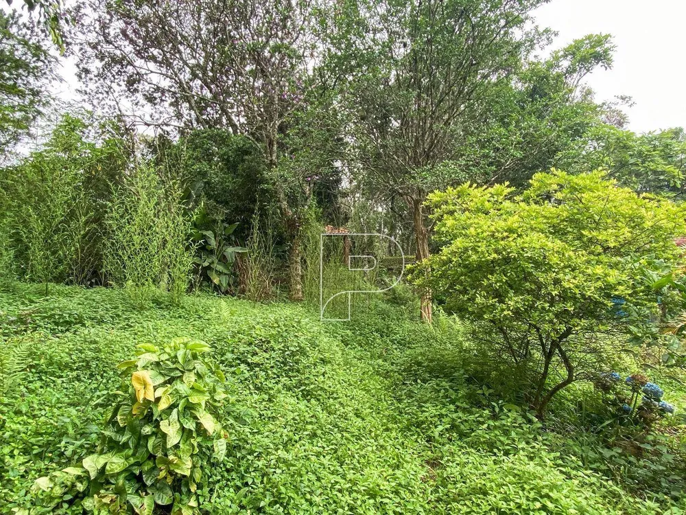 Terreno, 3146 m² - Foto 6