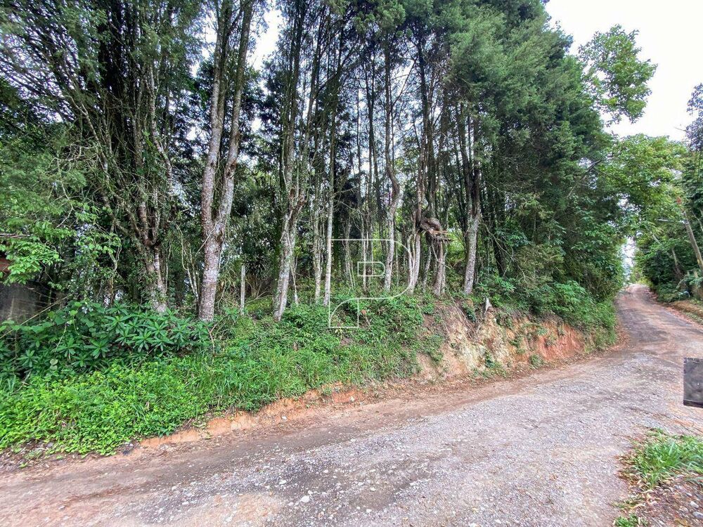 Terreno, 3146 m² - Foto 1