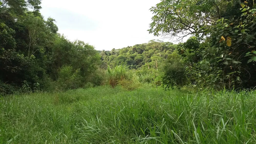 Terreno, 7632 m² - Foto 2