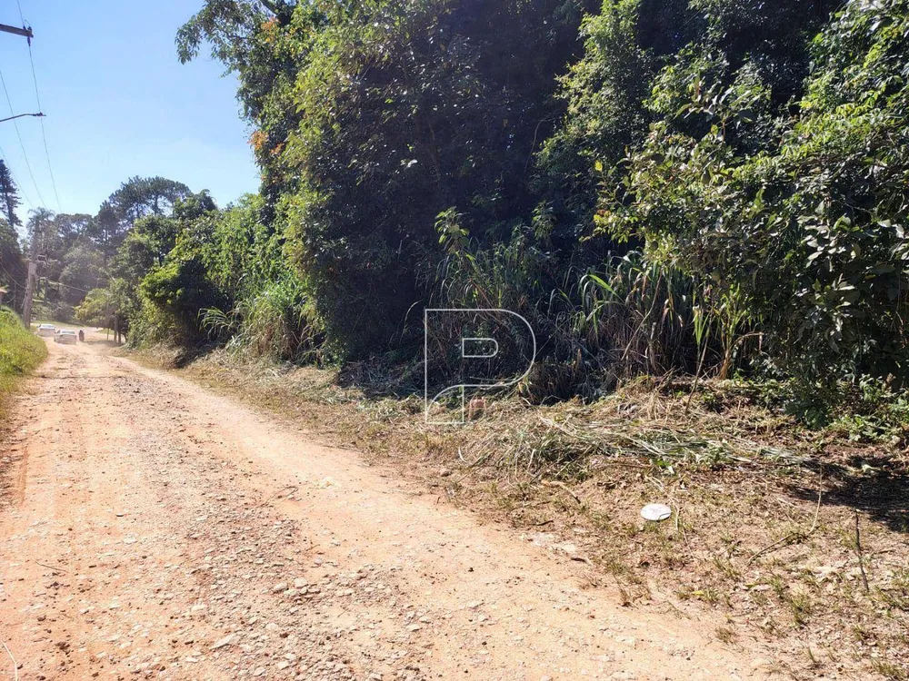 Terreno, 800 m² - Foto 6