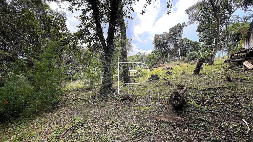Loteamento e Condomínio, 1575 m² - Foto 6