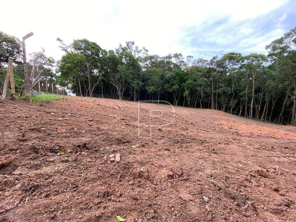Terreno, 5508 m² - Foto 4