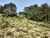 Terreno, 1 hectares - Foto 2