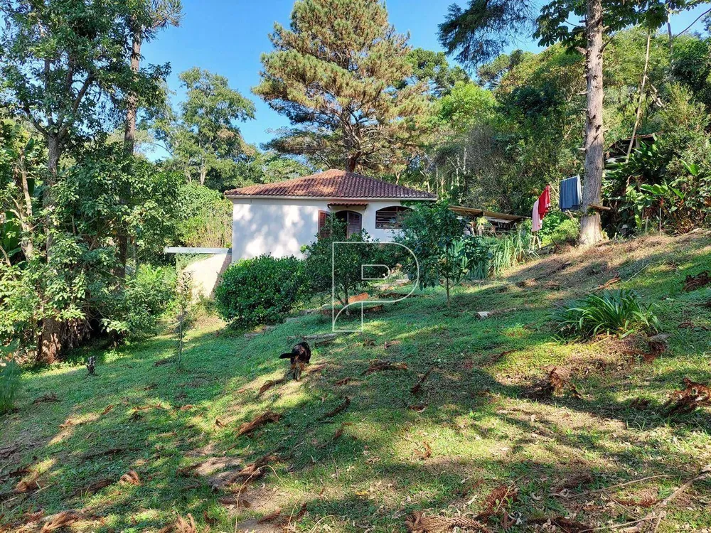 Chácara, 3 quartos, 6000 m² - Foto 12