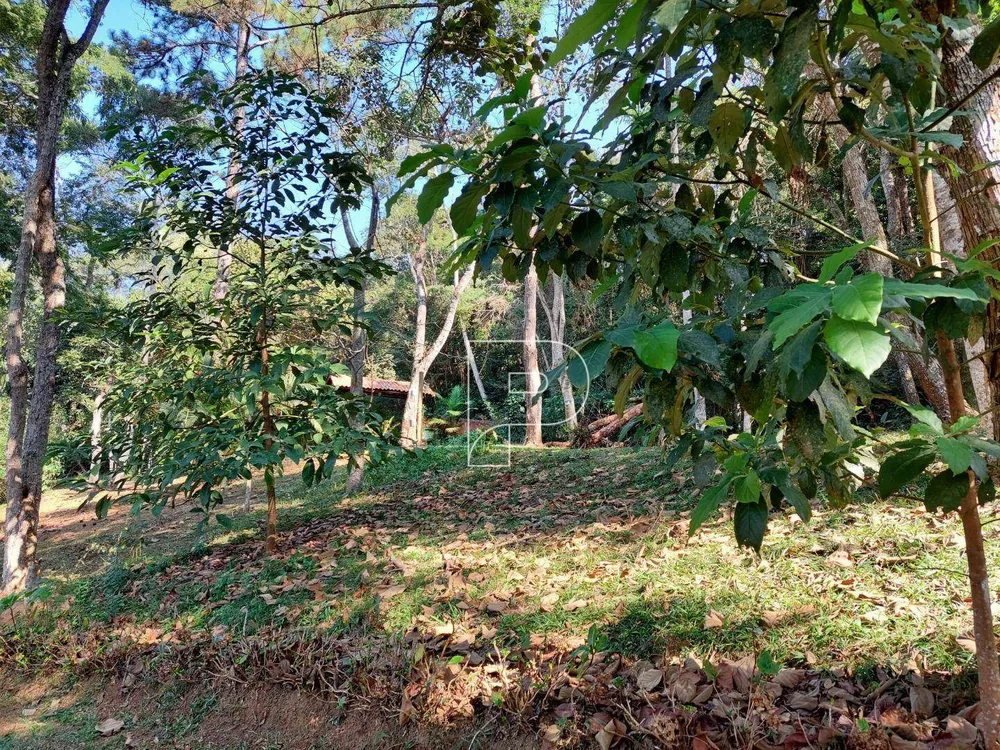 Chácara, 3 quartos, 6000 m² - Foto 9