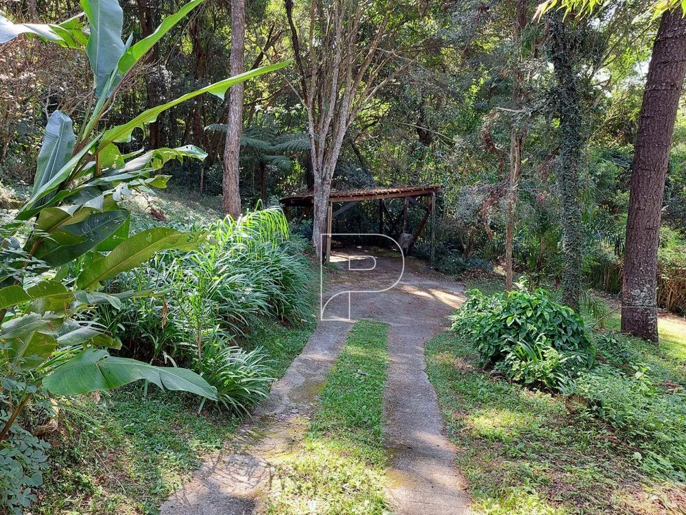 Chácara, 3 quartos, 6000 m² - Foto 11