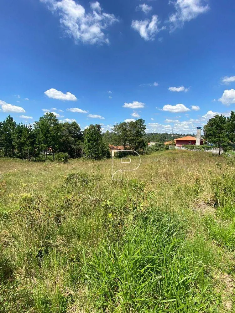 Terreno, 6310 m² - Foto 7