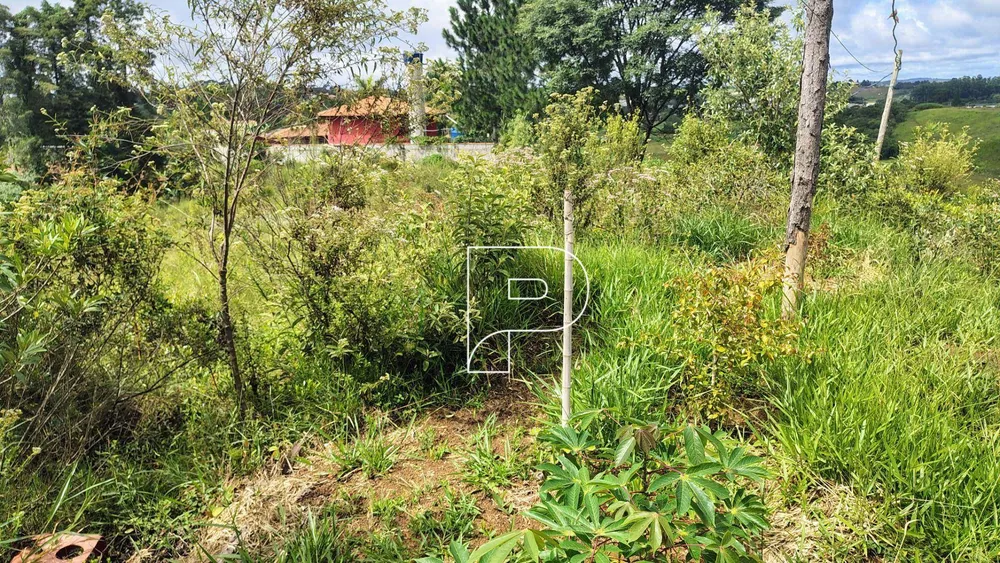 Terreno, 6310 m² - Foto 9