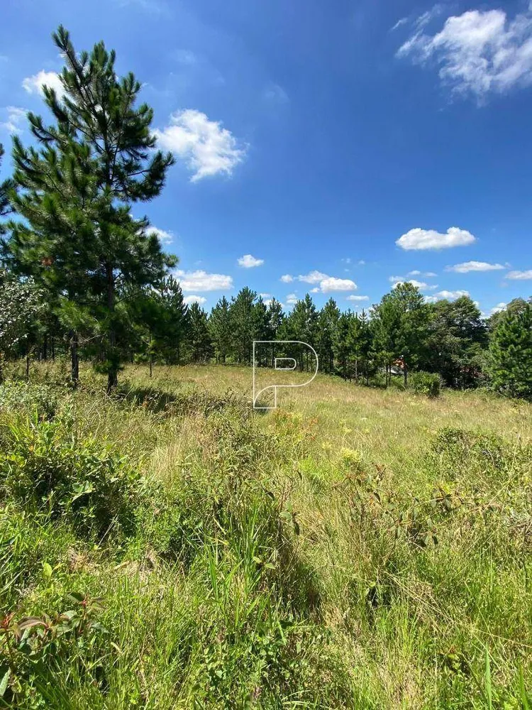 Terreno, 6310 m² - Foto 3