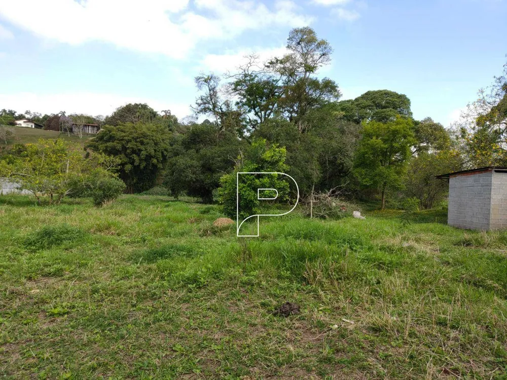 Chácara, 3 quartos, 3 hectares - Foto 6