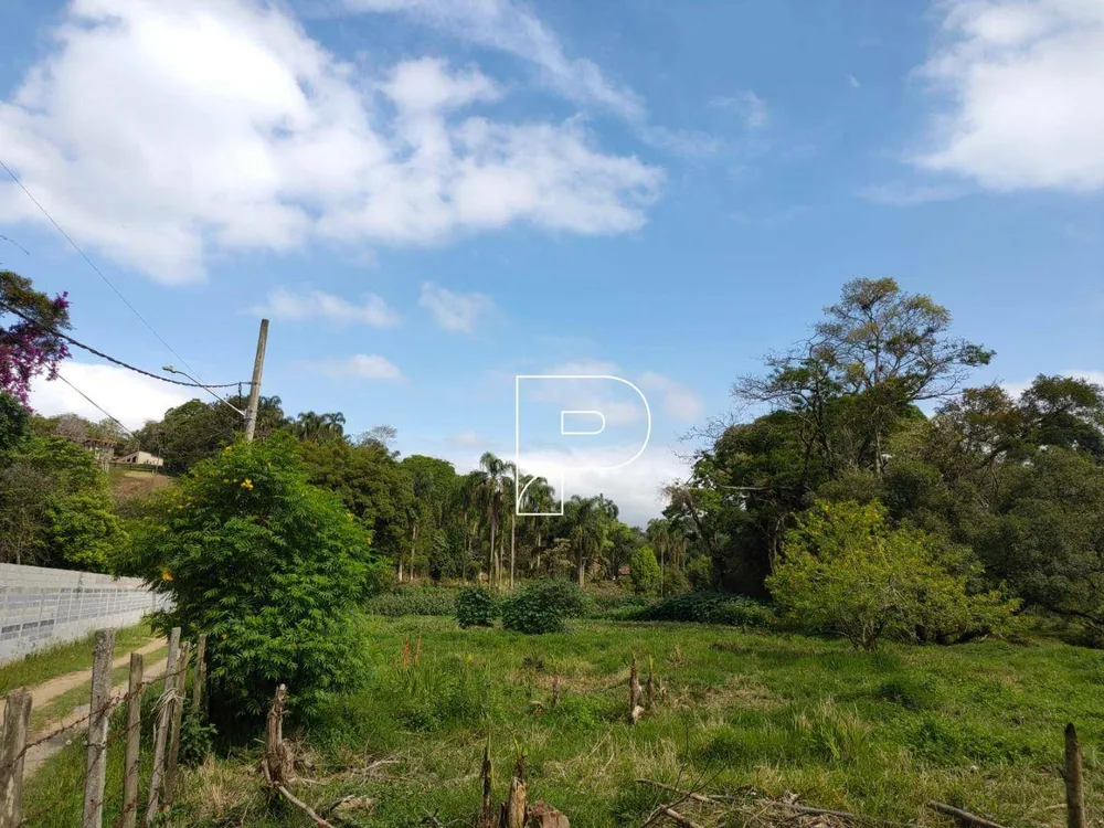 Chácara, 3 quartos, 3 hectares - Foto 8