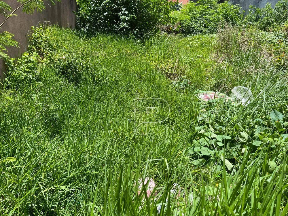 Terreno, 250 m² - Foto 9