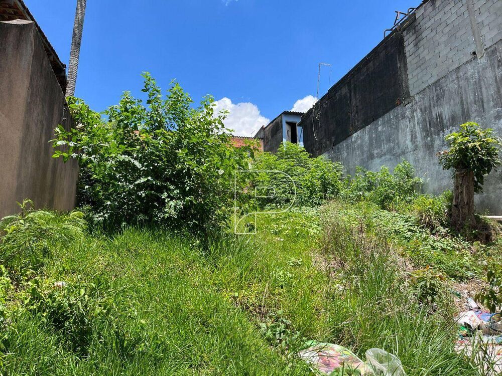 Terreno, 250 m² - Foto 4