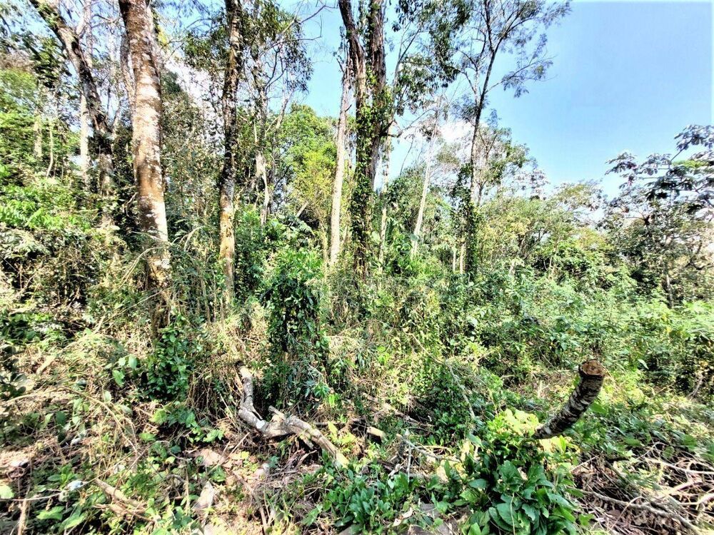 Loteamento e Condomínio, 880 m² - Foto 3