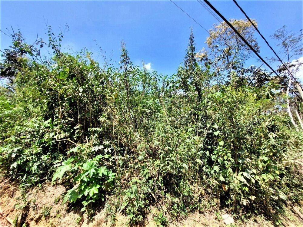 Loteamento e Condomínio, 880 m² - Foto 4