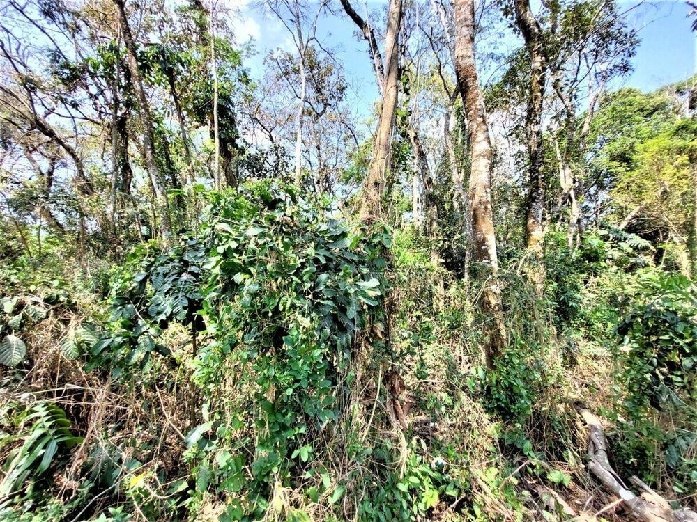 Loteamento e Condomínio, 880 m² - Foto 5