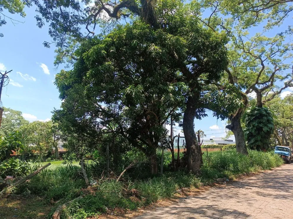 Terreno, 1000 m² - Foto 5