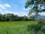 Terreno, 1000 m² - Foto 12
