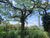 Terreno, 1000 m² - Foto 3