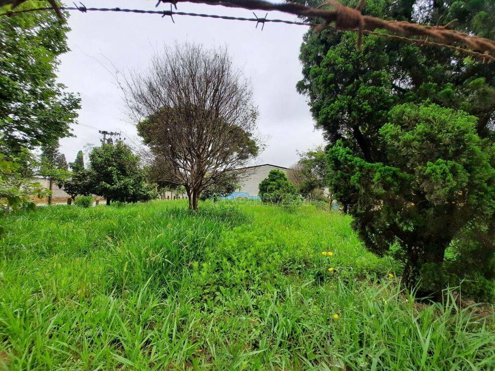 Terreno, 1000 m² - Foto 7