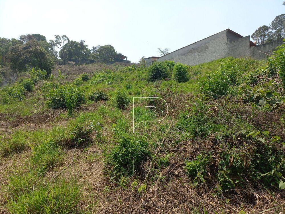 Terreno, 3045 m² - Foto 9
