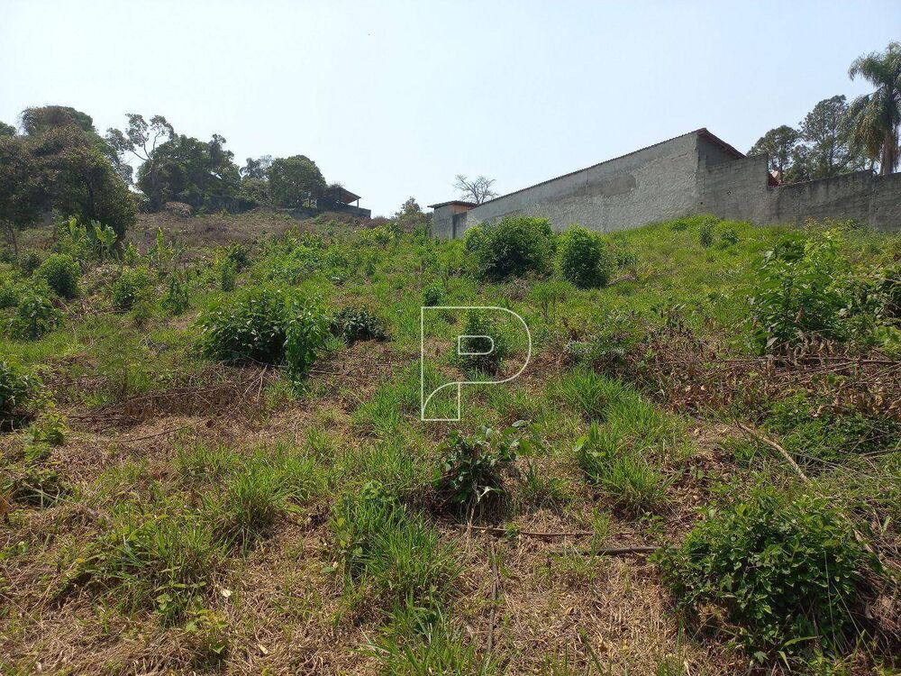Terreno, 3045 m² - Foto 5