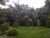Chácara, 3 quartos, 1 hectares - Foto 1