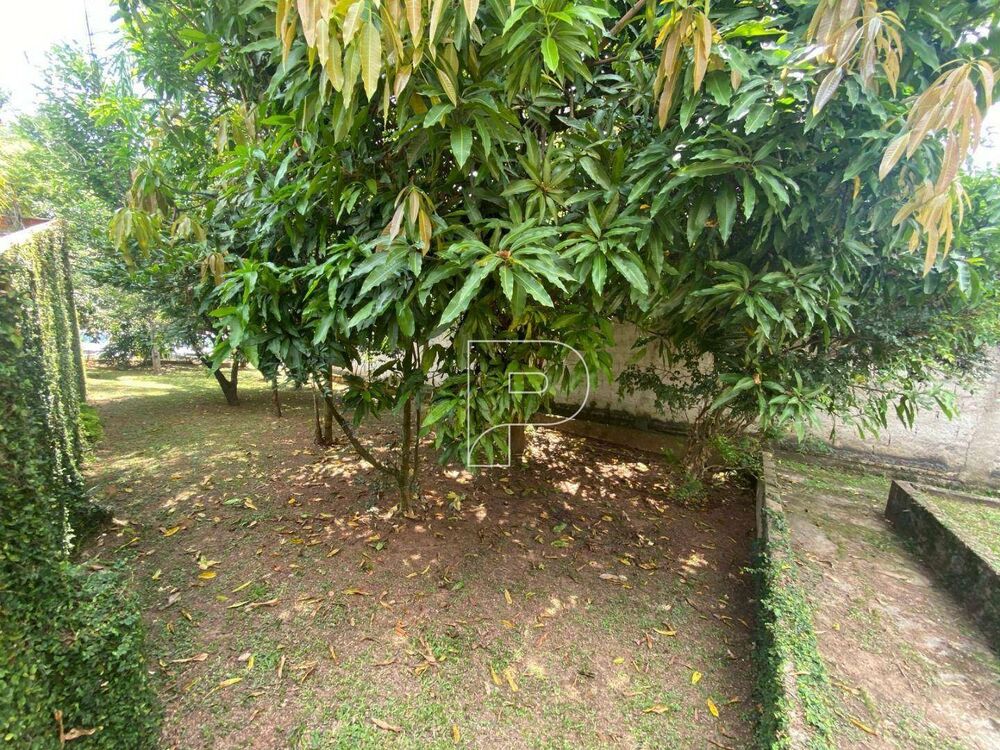Terreno, 4900 m² - Foto 1