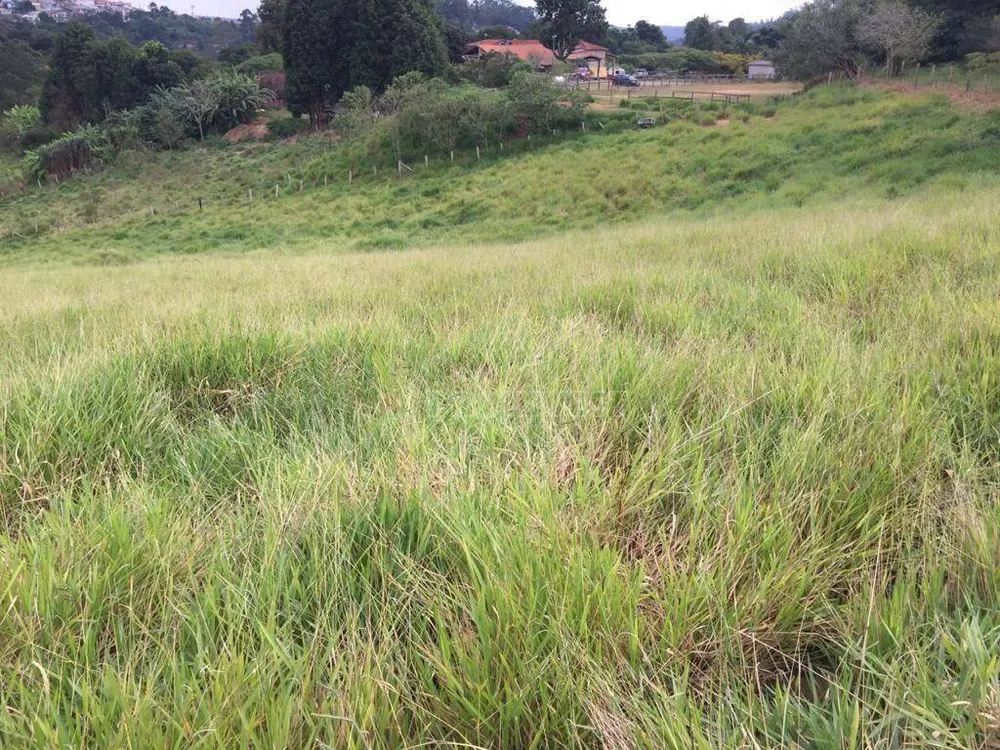 Terreno, 9685 m² - Foto 4