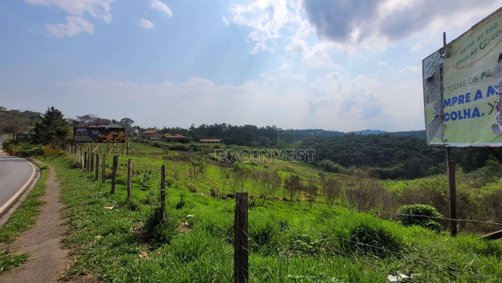 Terreno, 9685 m² - Foto 6