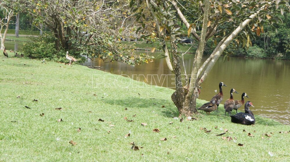 Casa de Condomínio à venda e aluguel com 4 quartos, 868m² - Foto 15