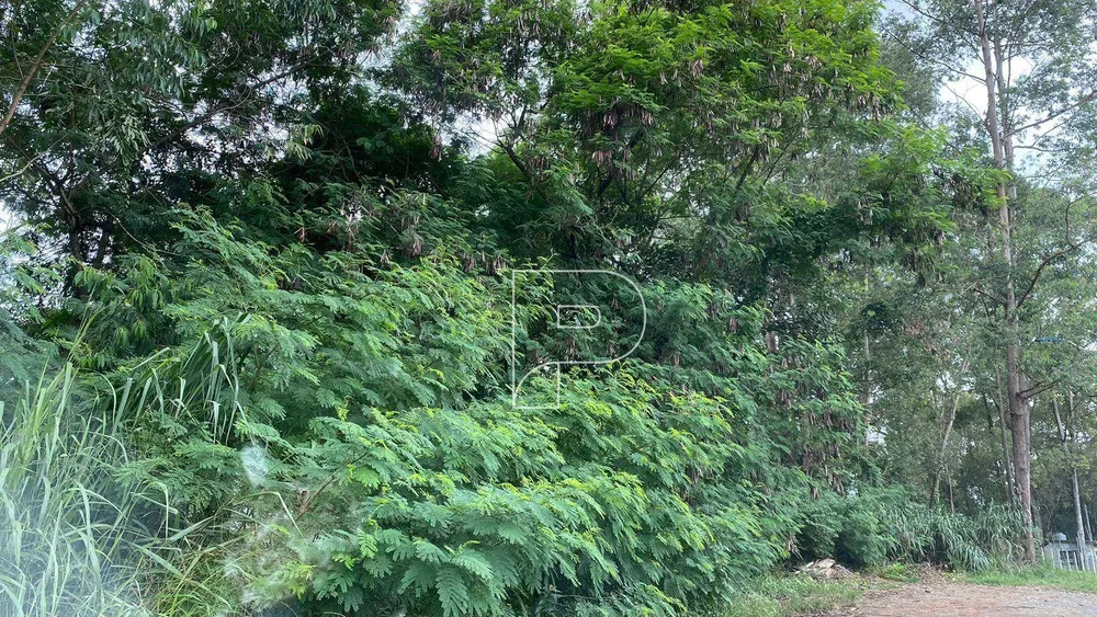 Loteamento e Condomínio, 800 m² - Foto 5
