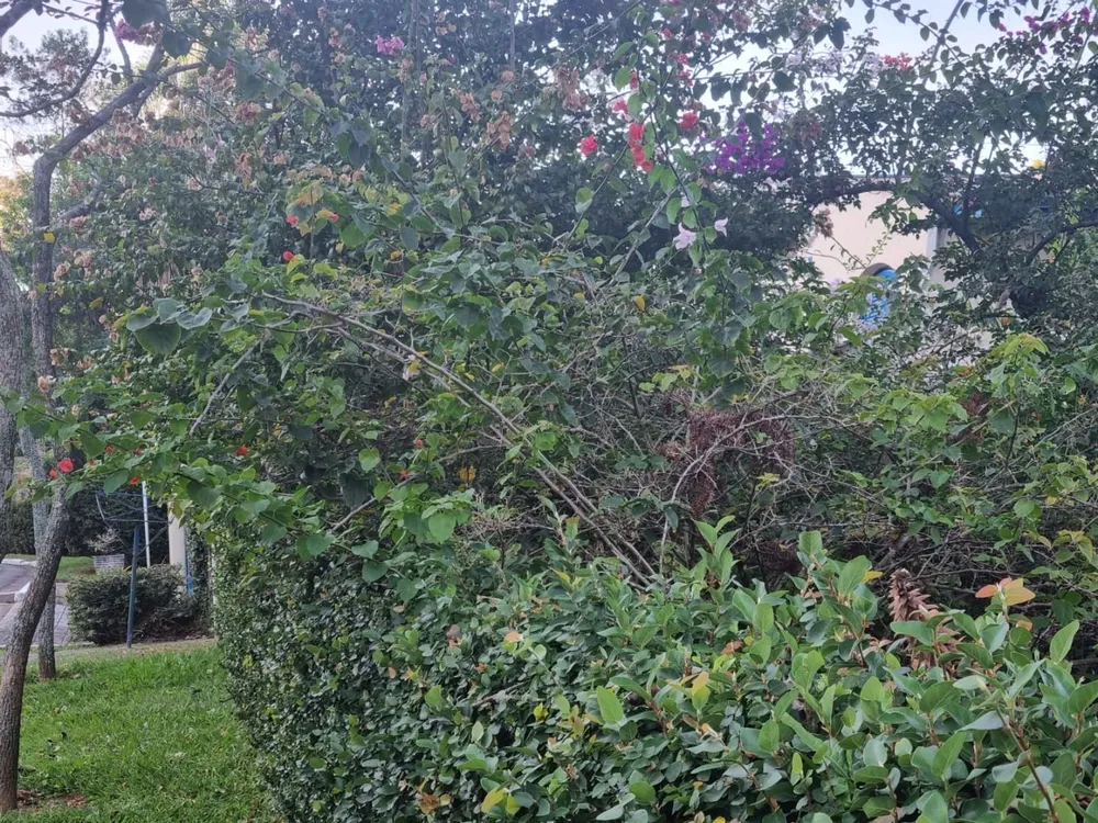 Loteamento e Condomínio, 402 m² - Foto 9