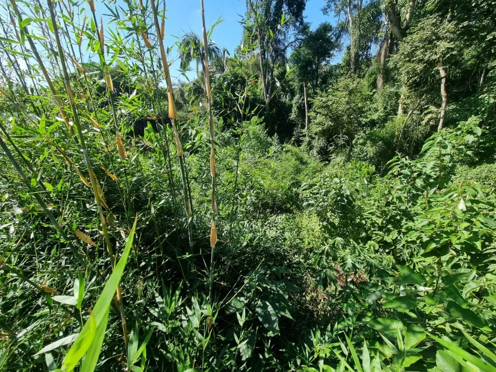 Loteamento e Condomínio, 402 m² - Foto 10