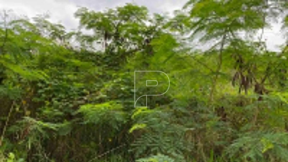 Terreno, 12 hectares - Foto 7
