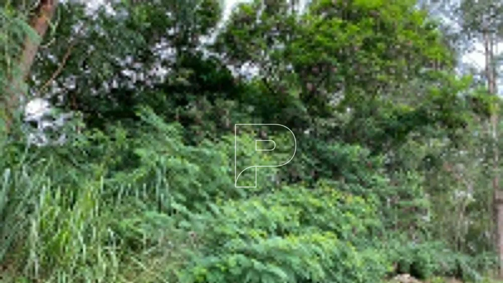 Terreno, 12 hectares - Foto 8