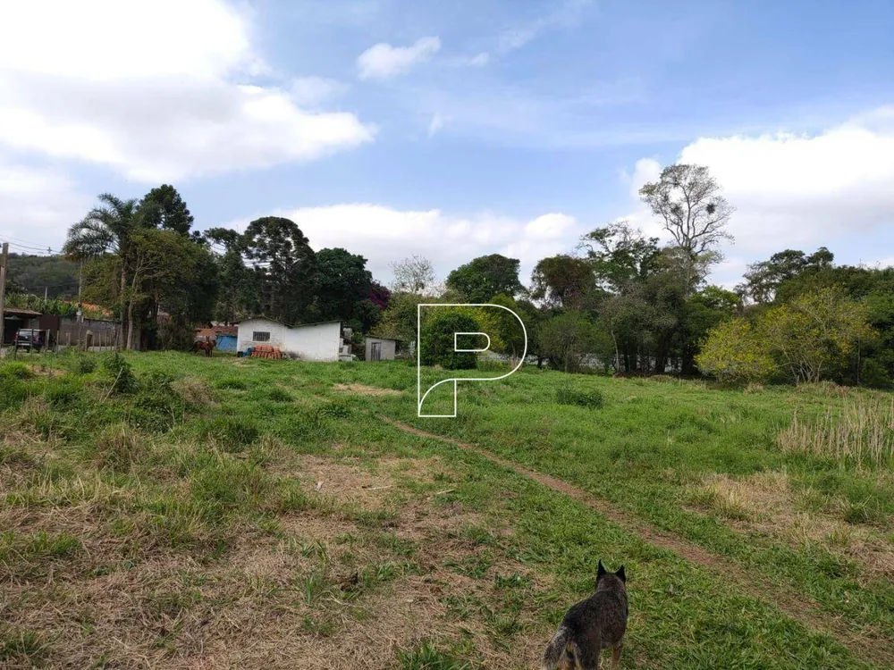 Terreno, 3 hectares - Foto 8
