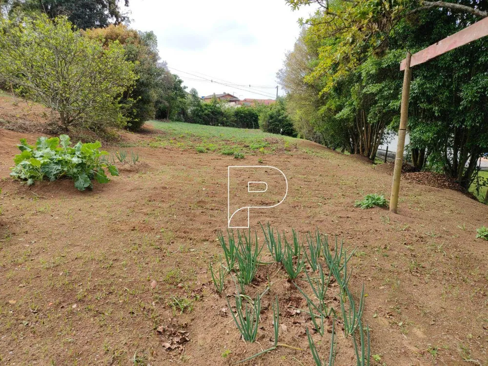 Terreno, 3 hectares - Foto 4