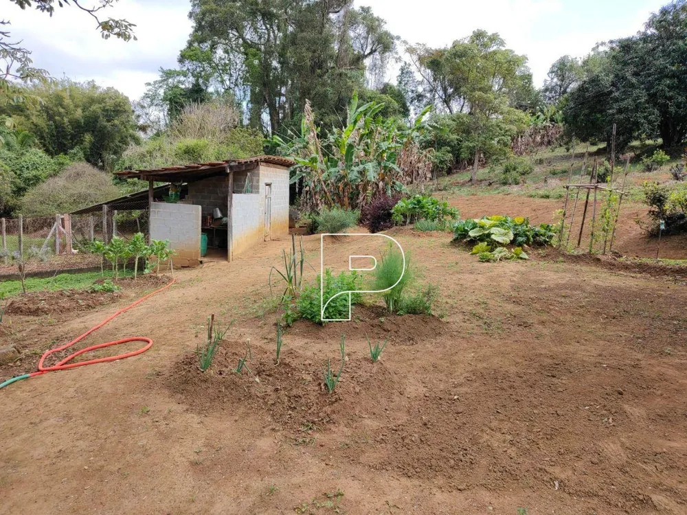 Terreno, 3 hectares - Foto 3