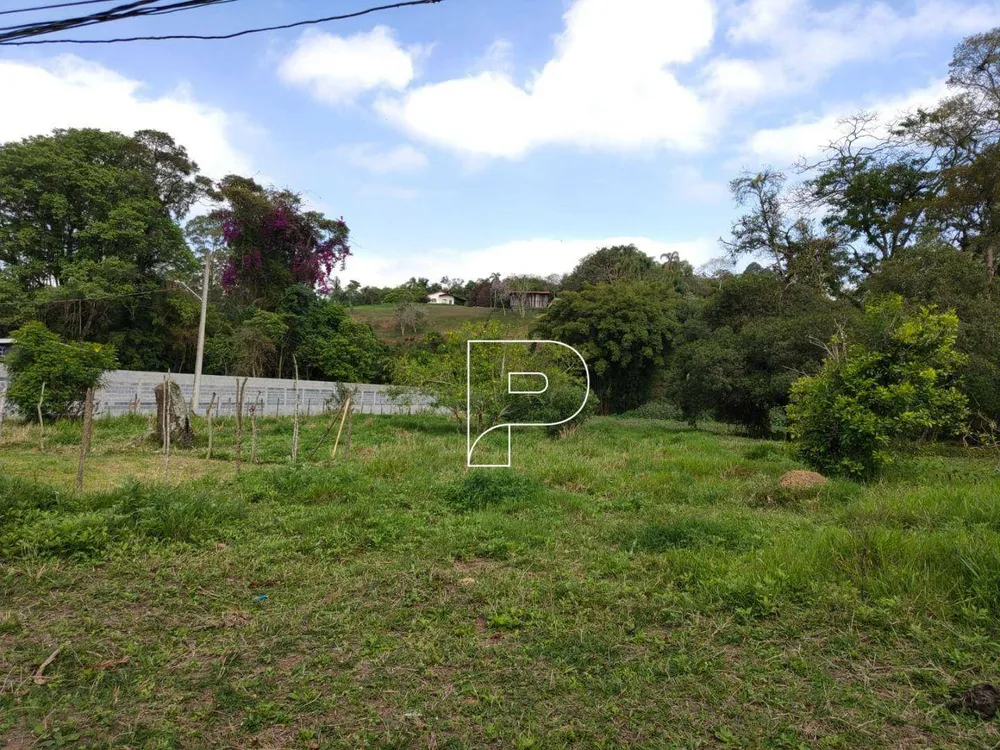 Terreno, 3 hectares - Foto 7