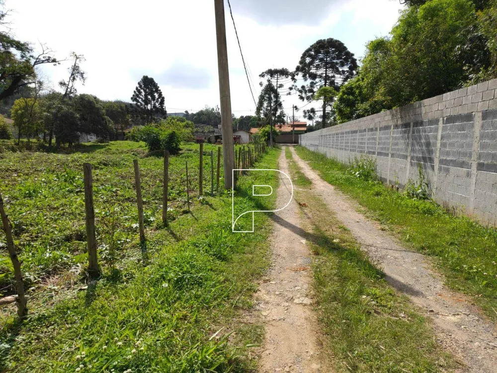 Terreno, 3 hectares - Foto 6
