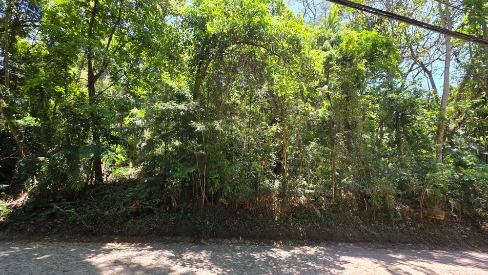 Loteamento e Condomínio, 2000 m² - Foto 3